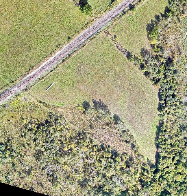 Before image